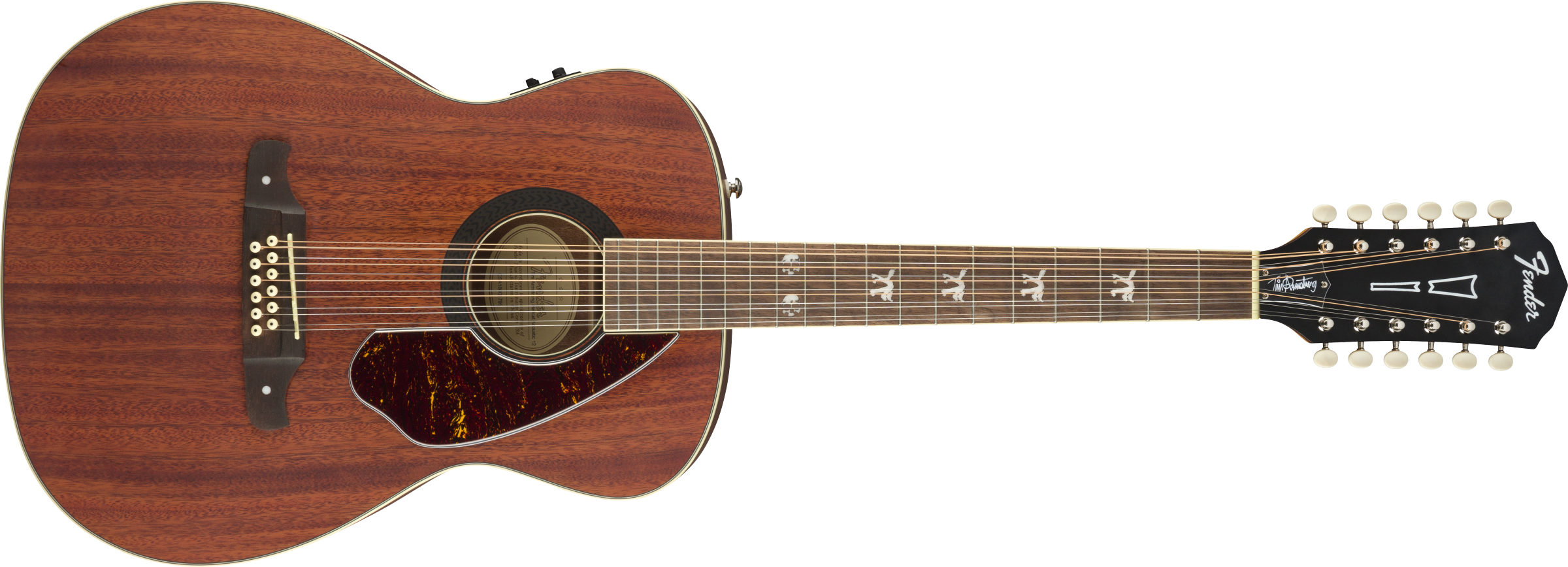 Tim Armstrong Hellcat-12 String